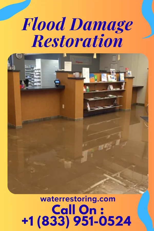 Flood Damage Restoration in Low Moor, IA