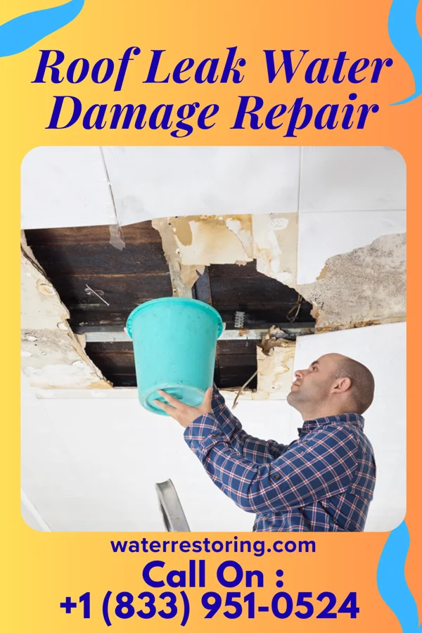 Roof Leak Water Damage Repair in Low Moor, IA
