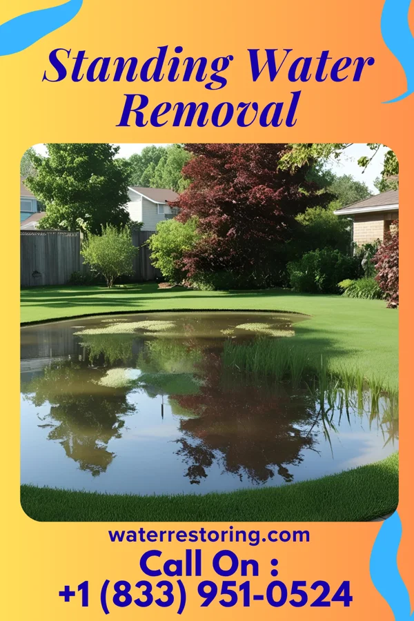 Standing Water Removal in Low Moor, IA